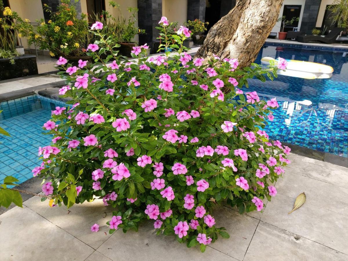 Radha Bali Hotel Kuta Lombok Dış mekan fotoğraf