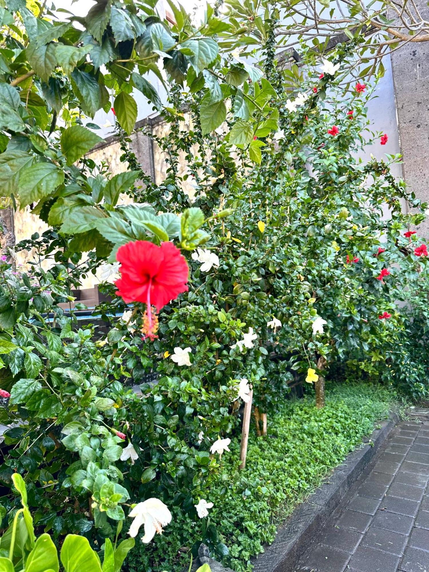 Radha Bali Hotel Kuta Lombok Dış mekan fotoğraf